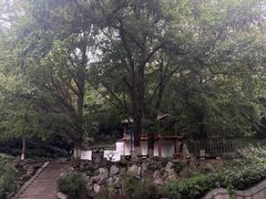 -伯先公园