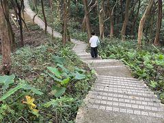 -广州市帽峰山景区