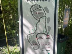 -都江堰中华大熊猫苑