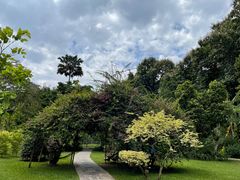 -中国科学院西双版纳热带植物园