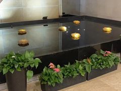 -大连心悦大酒店