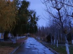 -伊犁河风景区
