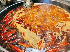 红汤锅底-蜀大侠火锅(寰球文化地标·总府店)
