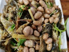 鱼皮-章记正宗南岗鱼蛋火锅