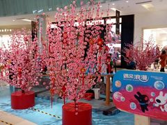 -金光华广场