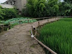 -驿舍·民國老营房院子私房菜(科学会堂店)