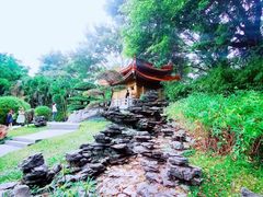 -深圳国际园林花卉博览园