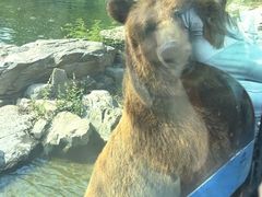 -北京野生动物园