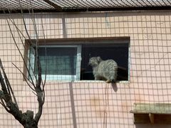 -青藏高原野生动物园