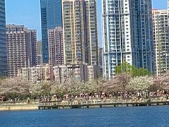 -西北湖绿化广场