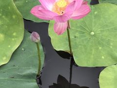 -渌洋湖湿地公园