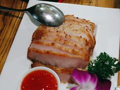 -新白鹿餐厅(百联中环店)