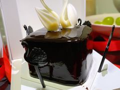 -BLACKSWAN黑天鹅(环球店)