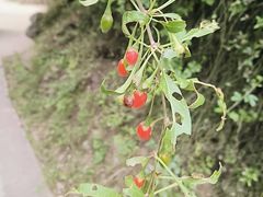 -云丘山景区
