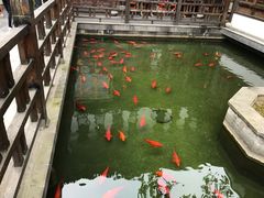 -麒麟小院·老九江菜(安平路店)