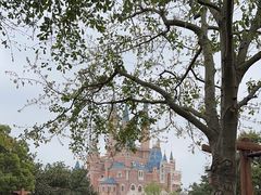 -上海迪士尼度假区