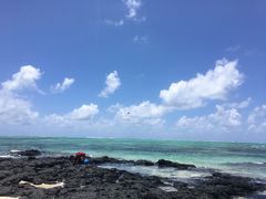 -塞尔夫岛