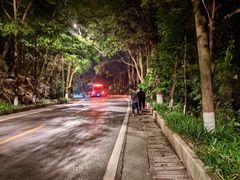 -铁山坪森林公园