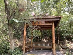 -天目湖山水园