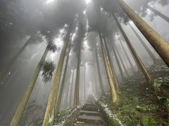 -钟鼎寺