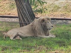-秦皇岛野生动物园