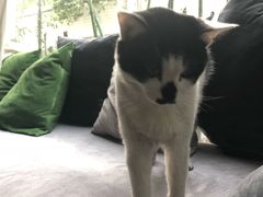 -虚荣精酿酒屋(五羊店)