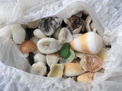 -三亚亚龙湾瑞吉度假酒店
