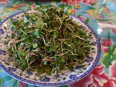 拌萝卜苗-闯关东东北农家菜(崂山石老人店)