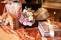 -DNA Wedding 婚礼记(上海店)