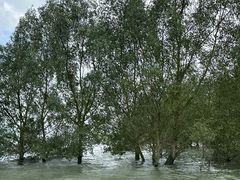 -东寨港红树林旅游区