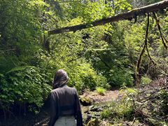 -峡谷浮石林景区