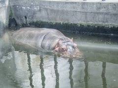 -石家庄市动物园