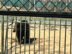 -秦皇岛野生动物园