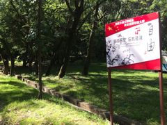 -蝴蝶泉公园
