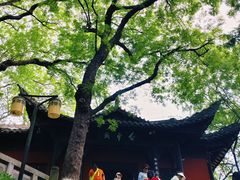 -白帝城·瞿塘峡景区