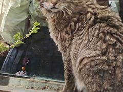 -青藏高原野生动物园
