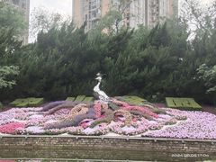 -中山公园