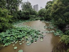 -南昌动物园
