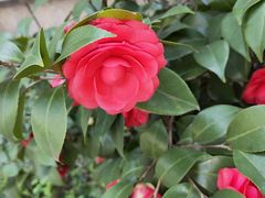 -必胜客(城西银泰店)