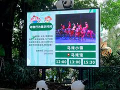 -深圳野生动物园