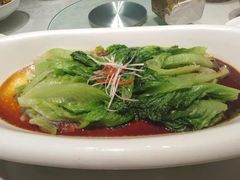 罗马生菜-西贝(满都海公园店)