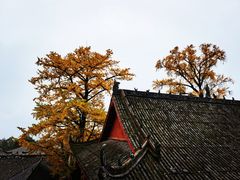 -金堂县云顶石城风景区