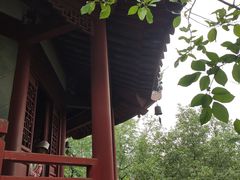 -汇龙潭
