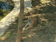 -泉州海丝野生动物世界