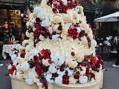 -DearCake 黛点心(花牌坊店)