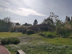 -桤木河湿地公园