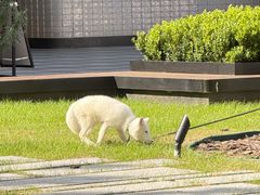 -苏州河梦清园环保主题公园