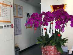 -土豆口腔(凤凰北总店)