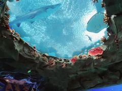 -南昌融创海世界