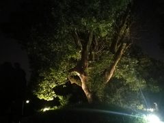 -东航云逸酒店(九溪烟树店)